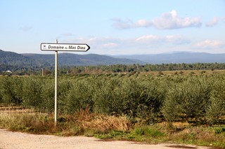 Domaine du Mas Dieu et son oliveraie - JPEG - 29.6 ko